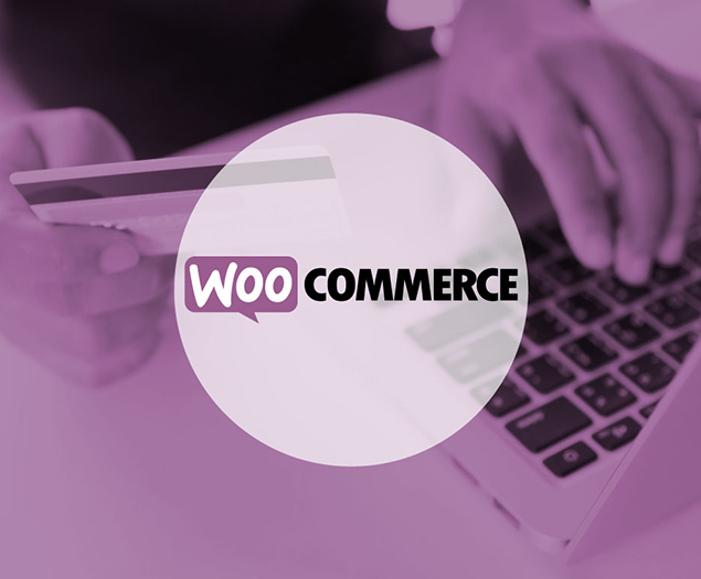 How WooCommerce woo the market?